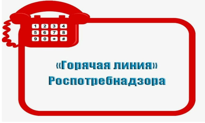 О проведении горячей линии по вопросам организации питания О проведении горячей линии по вопросам организации питания.